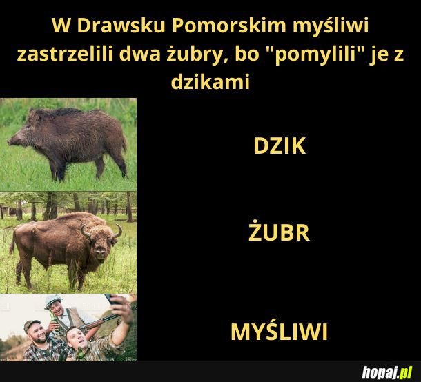 Fejk! Piwo pije się tylko na popitkę