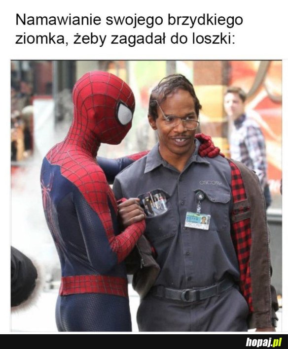 Dasz radę