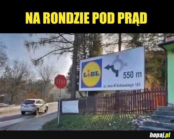Dzięki za radę Lidlu