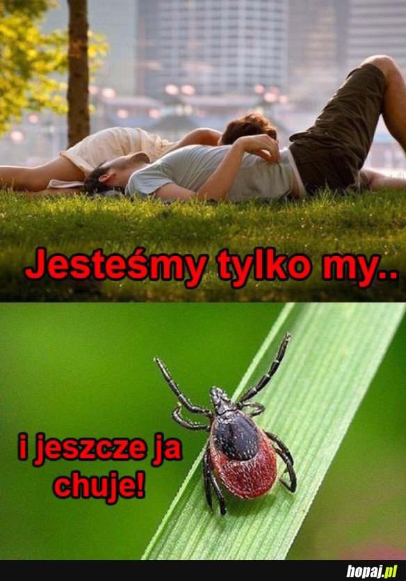 Jeszcze on!