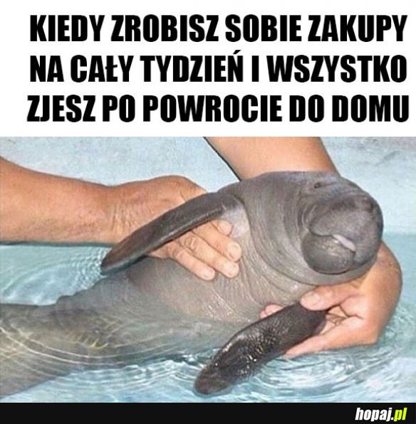 Za każdym razem