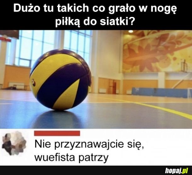 Piłka do siatki