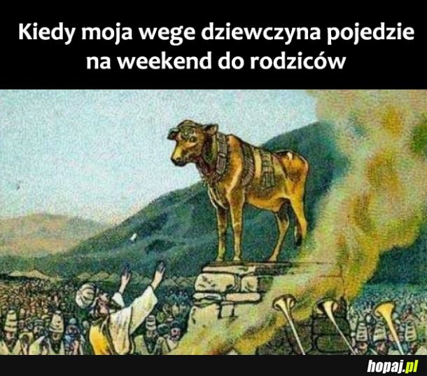 Moja dziewczyna