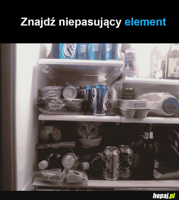 ZNAJDŹ NIEPASUJĄCY ELEMENT