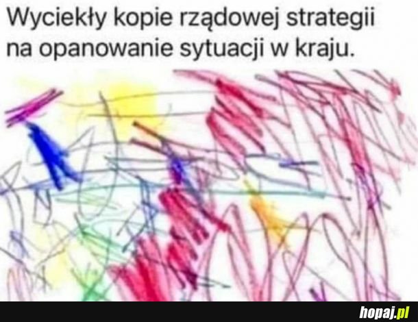 Opanowanie sytuacji