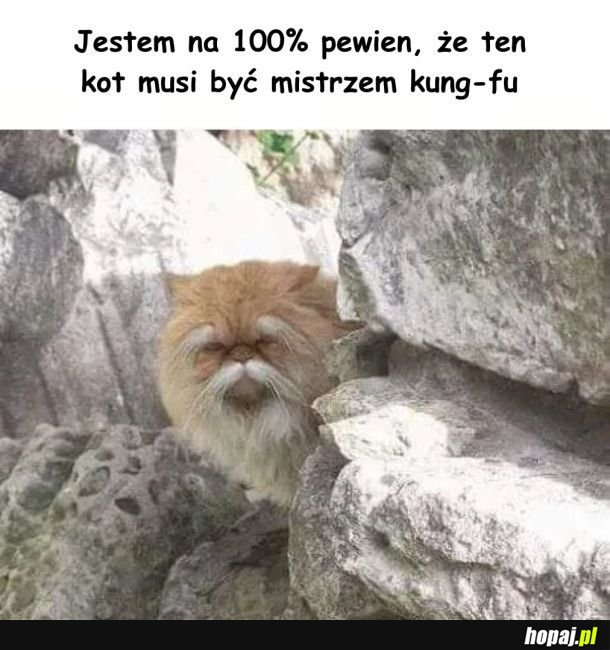 Kung-fu