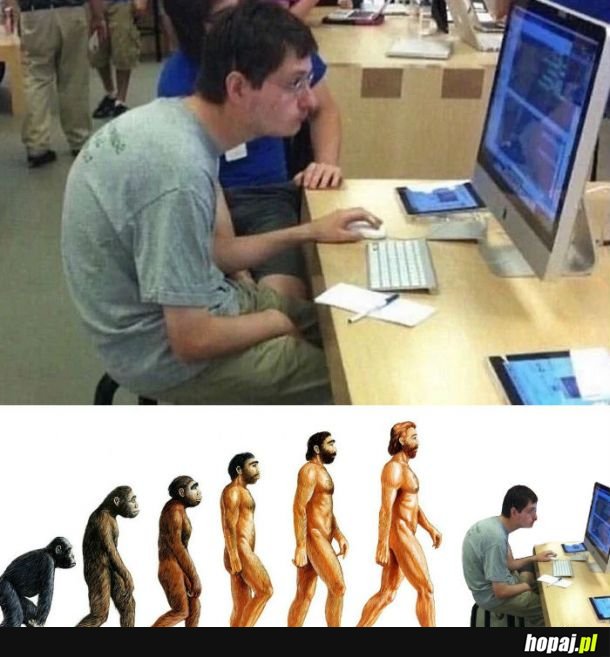  Ewolucja