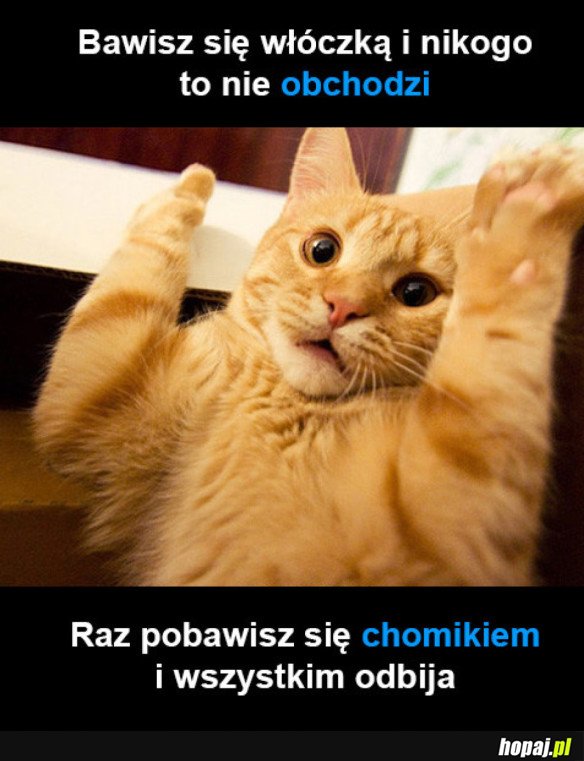 WSZYSTKIM ODBIJA 