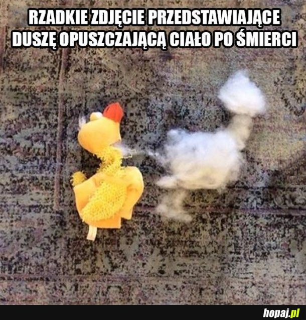 TROCHĘ PRZERAŻAJĄCE