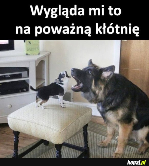 CIEKAWE O CO POSZŁO