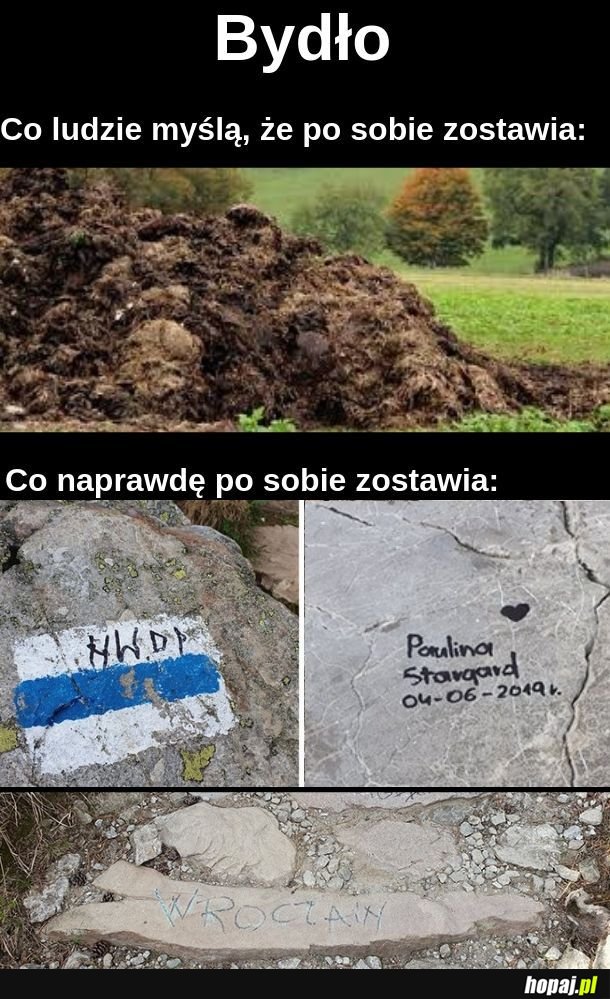 Pani Paulina ze Stargardu ciężko przeszła lobotomię :(