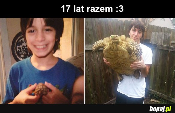 17 lat