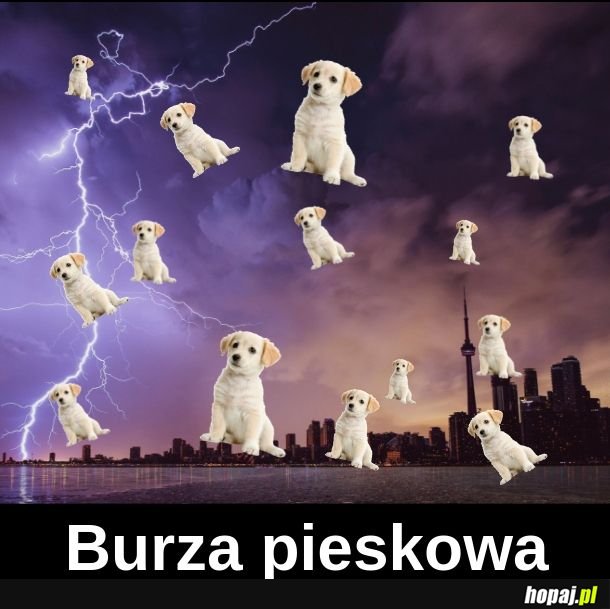 Burza pieskowa 