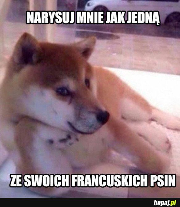 NARYSUJ MNIE JAK JEDNĄ ZE SWOICH FRANCUSKICH PSIN