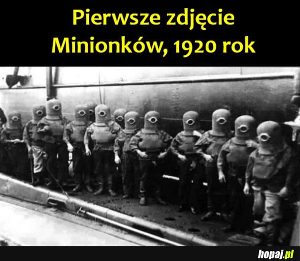 Minionki