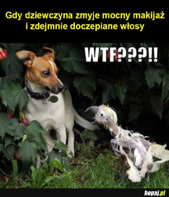 KIM TY JESTEŚ!?