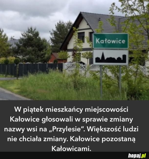 Mieli szansę, ale nie skorzystali xd