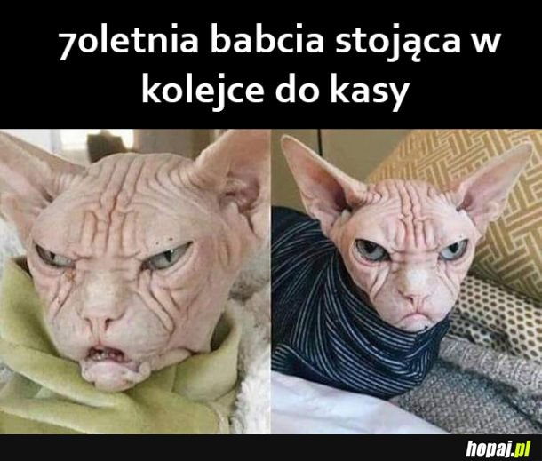 Zawsze tak wyglądają