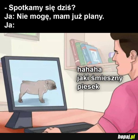 PLANY NA DZIŚ