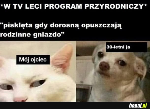 Program przyrodniczy