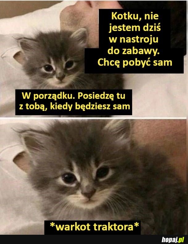 Kochany