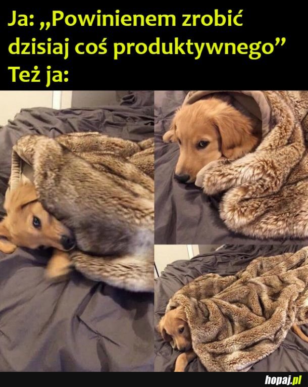 Moja niedziela