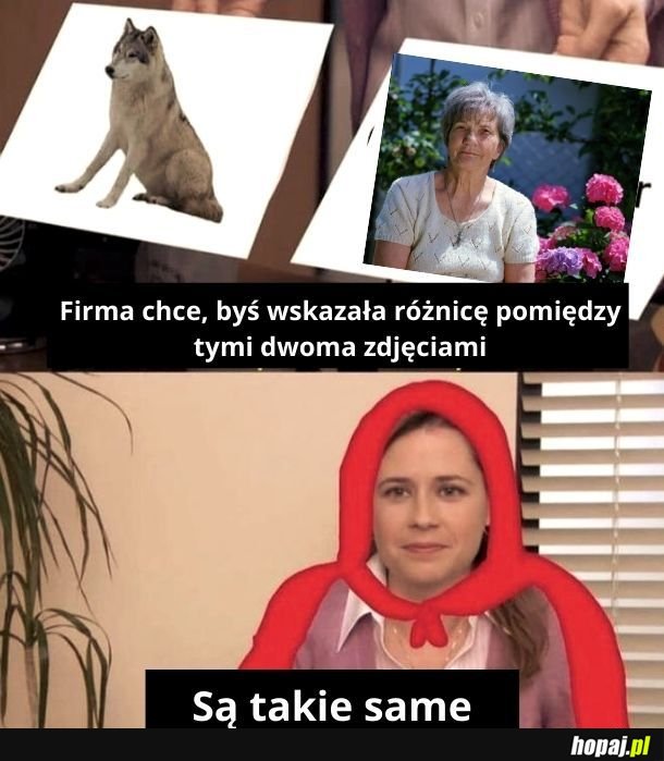 Logika czerwonego kapturka