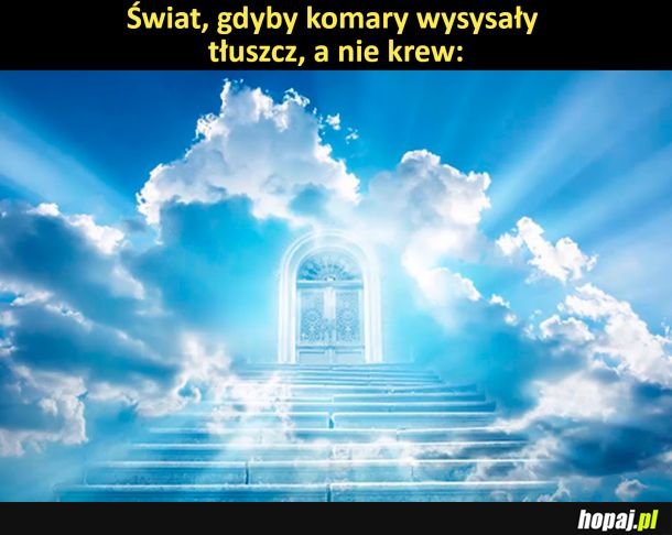 Mogło być tak pięknie