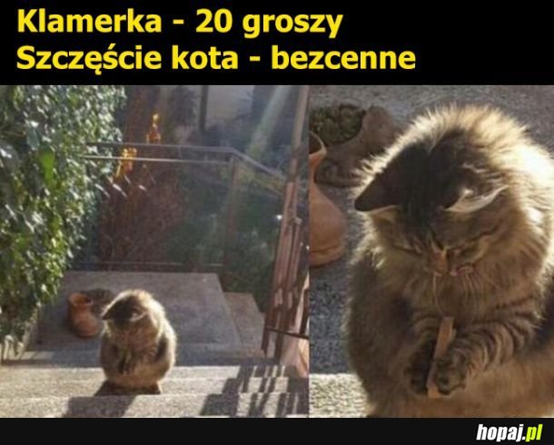 Szczęście