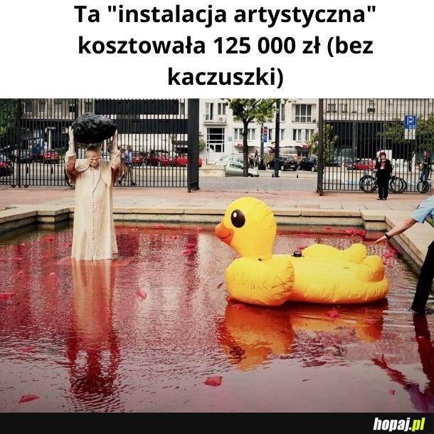 A kaczuszka akurat najfajniejsza