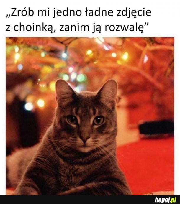 Zdjęcie z choinką