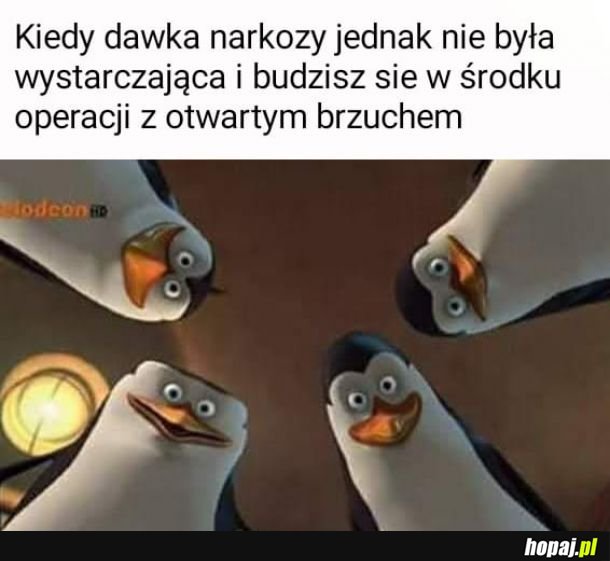 Podj***e z Pingwinawki