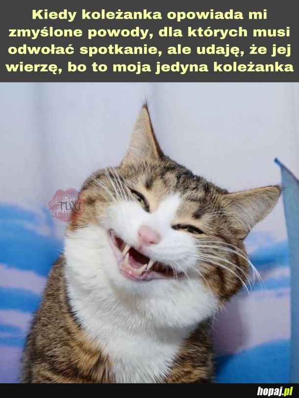 Taki to już ze mnie przegryw