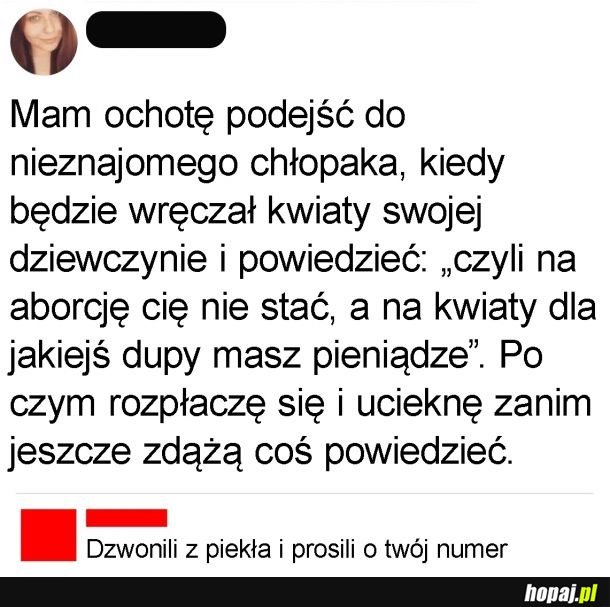 No świetny pomysł