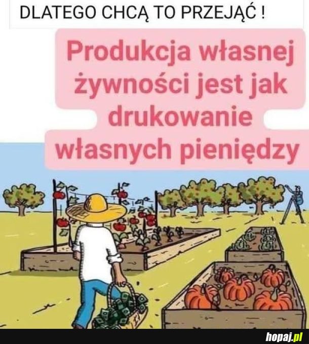 Produkcja własnej żywności