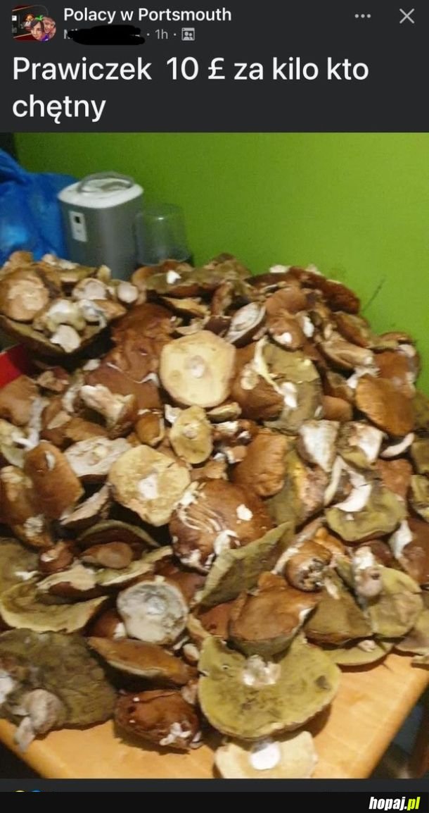 Sprzedaż prawiczków.