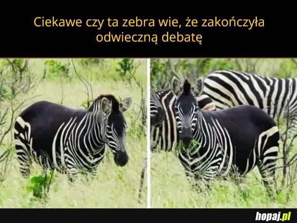 Czarna w białe paski
