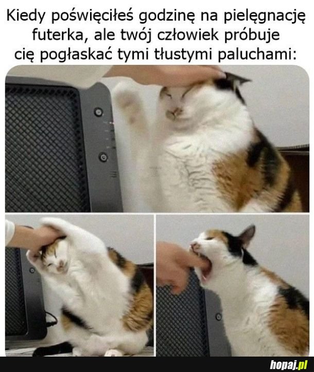 Niezadowolony