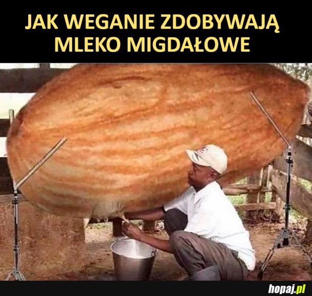 Mleko migdalowe