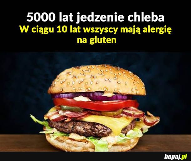 5000 lat jedzenia chleba