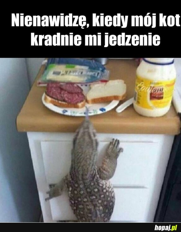 NIENAWIDZĘ TEGO