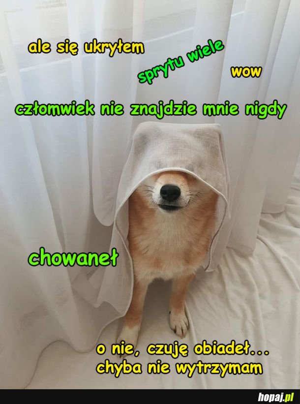 Pieseł