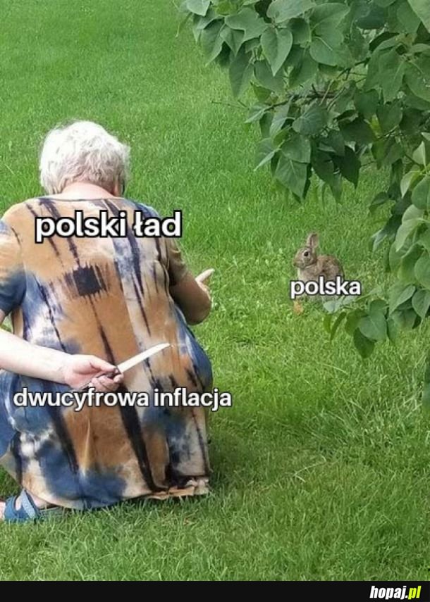 Polski ład