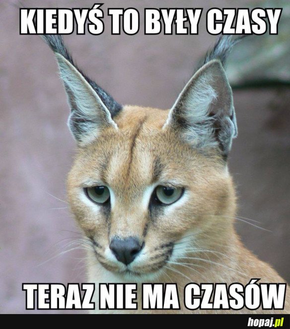 KIEDYŚ TO BYŁO