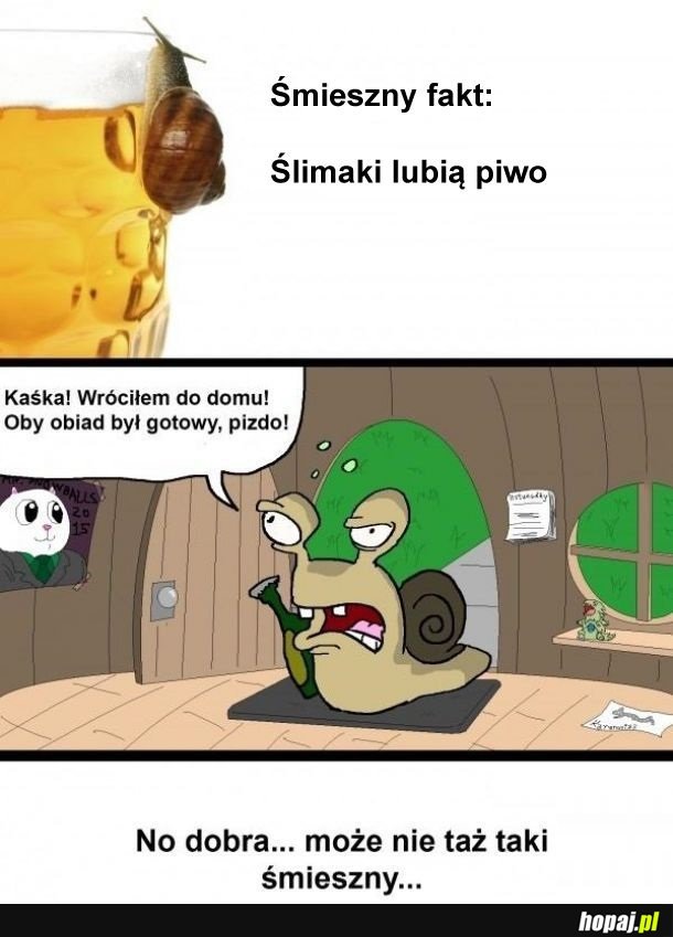 Ciekawostka o ślimakach