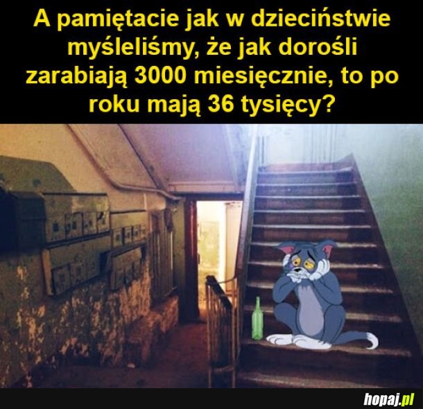 Głupi ja