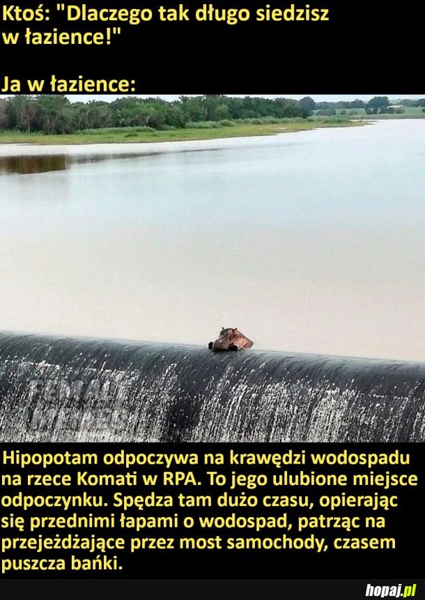 Ja w łazience