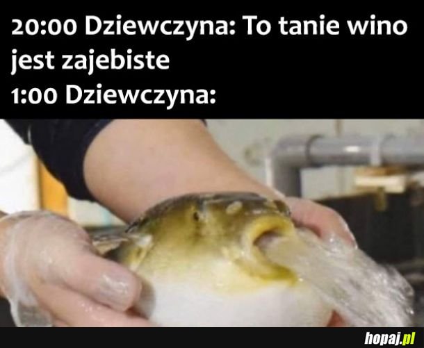 Tanie wino