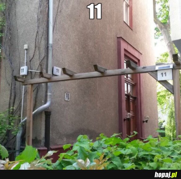 11
