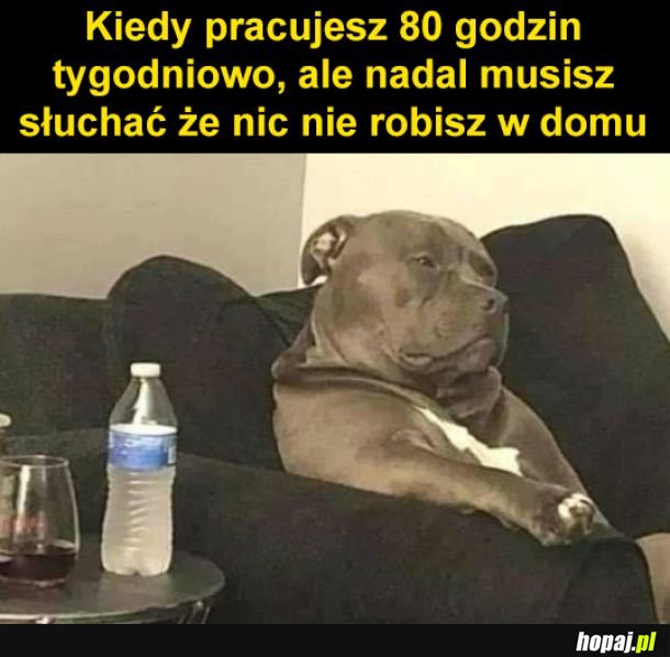 Daj mi spokój